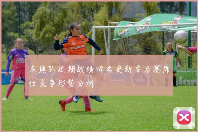 灰熊队近期战绩排名更新季后赛席位竞争形势分析