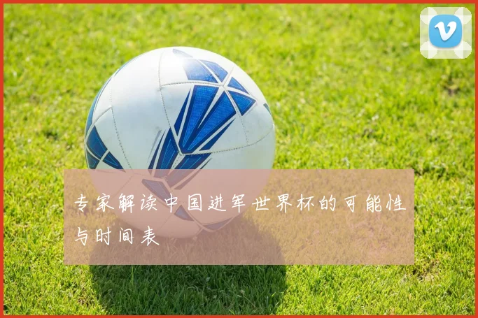 专家解读中国进军世界杯的可能性与时间表