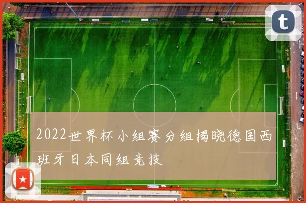 2022世界杯小组赛分组揭晓德国西班牙日本同组竞技