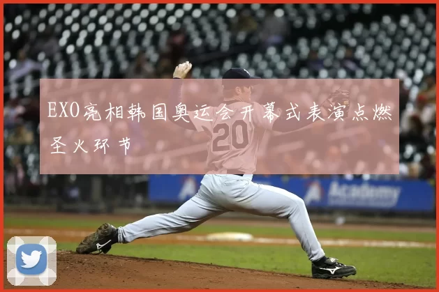 EXO亮相韩国奥运会开幕式表演点燃圣火环节