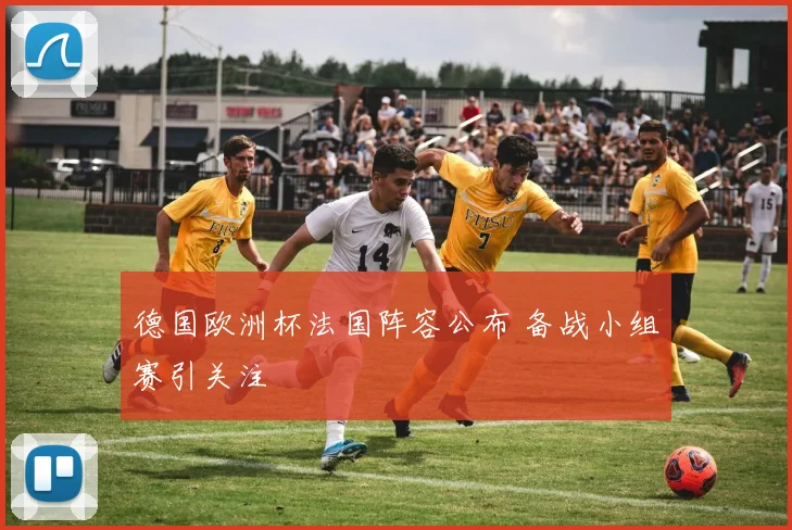德国欧洲杯法国阵容公布 备战小组赛引关注